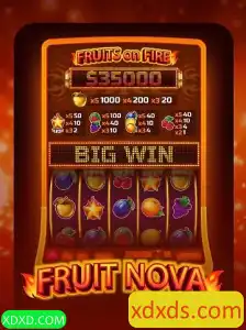 Descubra o Fascinante Mundo de FruitNova: Um Guia Completo